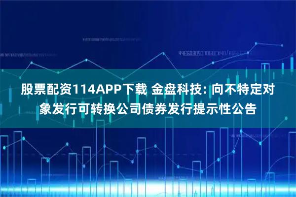 股票配资114APP下载 金盘科技: 向不特定对象发行可转换公司债券发行提示性公告